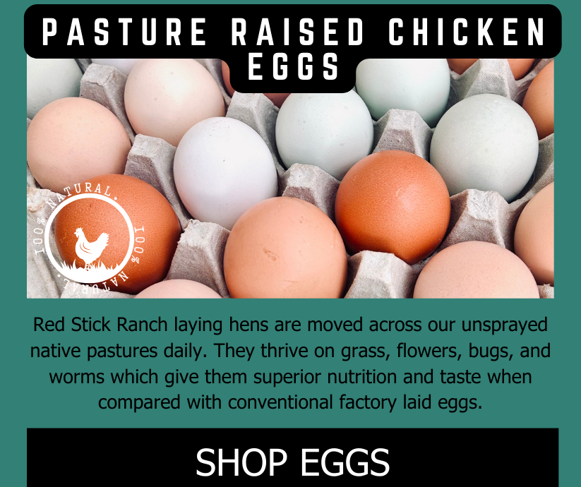 Pasture Raised Eggs Healthy Buy Local eggs Tulsa, Ok